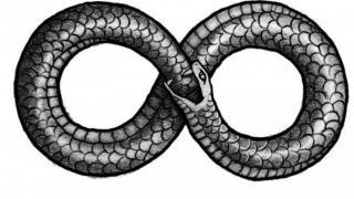 ALAN WATT - OUROBOROS