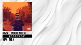 Top 10 Fastest GAWNE Verses!