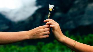 LATIN MGTOW - MANGINA (EL HOMBRE VAGINA) - Serie Principal - Capitulo 54