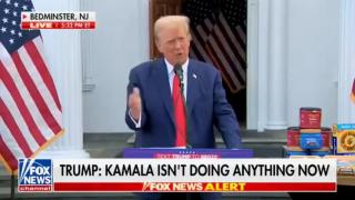 ZION DON - "WE NEED A LEGAL INVASION"  -  THE HAND RUBBING INTENSIFIES