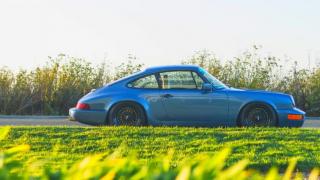 LATIN MGTOW - HIPERGAMIA - Serie Principal - Capitulo 53