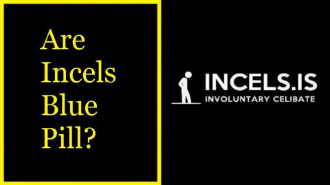 MGTOW: Why I don't like Incels and what we should do about them.