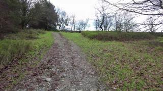 Combating cult mind control. Leaving the Jehovah's witnesses