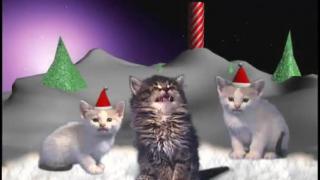 Ohhhh Nooooooooo  - Cats Singing Silent Night - for my Shit Eating - Feminist Fans