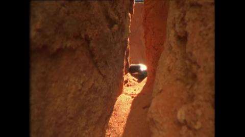 Why --  the Australian Inland Taipan Snake has the deadliest venom in the world.