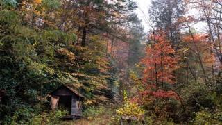 LATIN MGTOW - MISANDRIA - Serie Principal - Capitulo 24