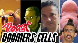 SMASH TV ROAST FT GREG LURIK