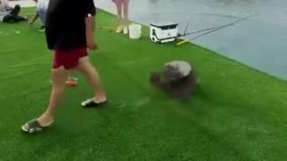 Equality Takes A Fish To The Face...