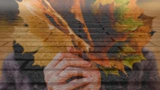 LATIN MGTOW - EL MURO - Serie Principal - Capitulo 30