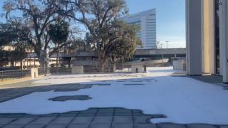 Visiting Florida Department Of State To Check On The MGTOW Party App But They Are Closed Because Of A Snowstorm!