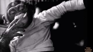 TURD FLINGING MONKEY EXPOSED CAUGHT CHEATING ON CELESTINA