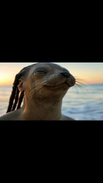 ‘The View’ Calls Snoop Dogg a ‘Trained Seal’ for Performing For Trump