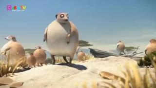 Fat Animals - if animals were fatty, funny cartoon short film