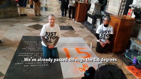 Things That Make You Go Daaamn 68 - The New Darwins