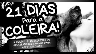 Como Adestrar Seu Homem em Mais ou Menos 21 Dias | React - (Parte 1)