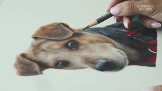 Why Professional Colored Pencils Cost 14 Times More Than Regular Ones