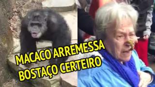 Este é o meu trabalho!