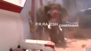 ELEPHANT HAD ENOUGH OF THE CURRYCELS