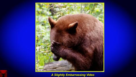 A Slightly Embarrassing Video