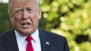 Trump Will Declare The Bird Flu A National Pandemic To Murder American Men For Dirty Jews