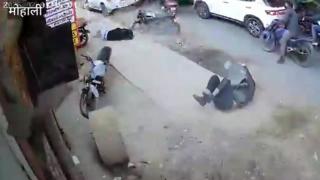 the Darwin awards - not safe for existence 2