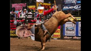 Old Tart Has At Least One Standard