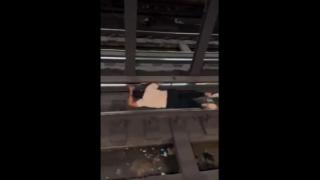 the Darwin awards -B-m