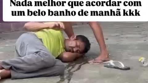 Bostileiros flagrados