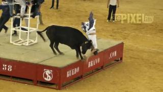 MESS WITH THE BULL YOU THEN GET THE HORN