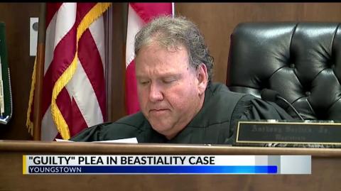 Judge sentences woman for sex acts with 2 dogs in Youngstown