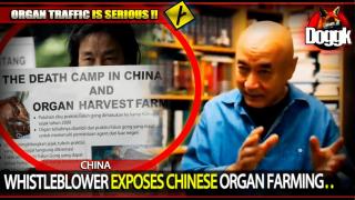 WHISTLEBLOWER EXPOSES CHINESE ORGAN FARMING.. (CHINA) >> INTERESTING !! DON'T MISS IT !!