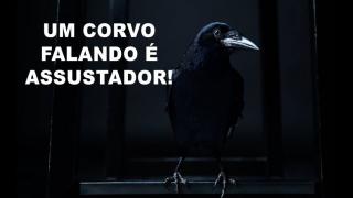 Como um CORVO SALVOU MINHA VIDA!