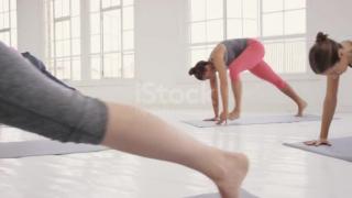 Sunny Health & Fitness Doorway Chin Up Pull Up Ba