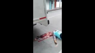 the Darwin awards - FoS