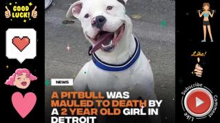 You want a girlfriend?