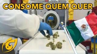 México irá descriminalizar todas as drogas | Visão Libertária - 24/06/20 | ANCAPSU