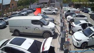 Things That Make You Go Daaamn 80 - Beware of Darwins (with Horror)