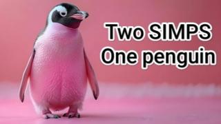 Two SIMPS, one pink penguin.