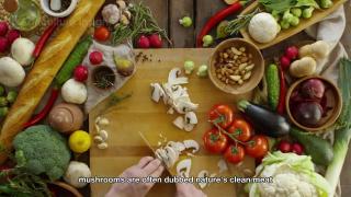 How Mushrooms, Celery and Brussels Sprouts, are Farmed and Harvested