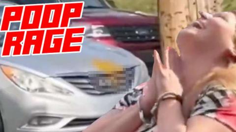Woman Defecates on Car Hood During Road Rage Incident