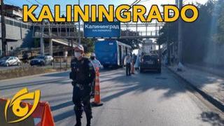 Ditador de Belo Horizonte ameaça lockdown se o gado não cooperar | Visão Libertária - 28/06/20 | ANCAPSU