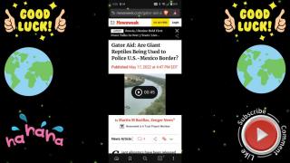 Alligators in the Rio Grande?