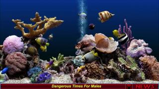 Dangerous Times For Males