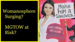 MGTOW: My thoughts on the Womanosphere