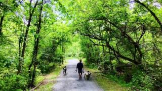 Is It My Fault or Is She Borderline Personality Disorder-