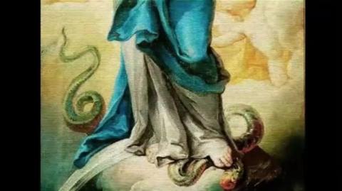 A questão do marianismo: fakepill coloca Virgem Maria e cristianismo como fundamentos da dominação mental feminista