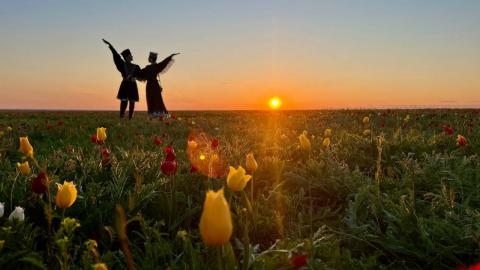 Inland Visions | The Hidden Wonders of Kalmykia's Blooming Steppes