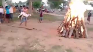 These savages live all around us now