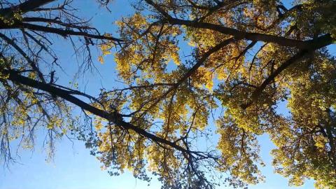 Rumination 26 - New Day's A-Comin' (part 2)