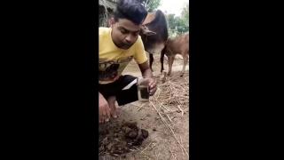 STREETSHITTER PAJEET BASTARD - FRESH COW-SHIT JUICE